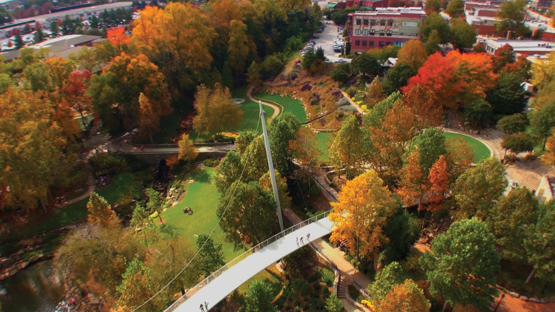 Bird's eye view of Liberty Bridge in the midst of fall in Greenville