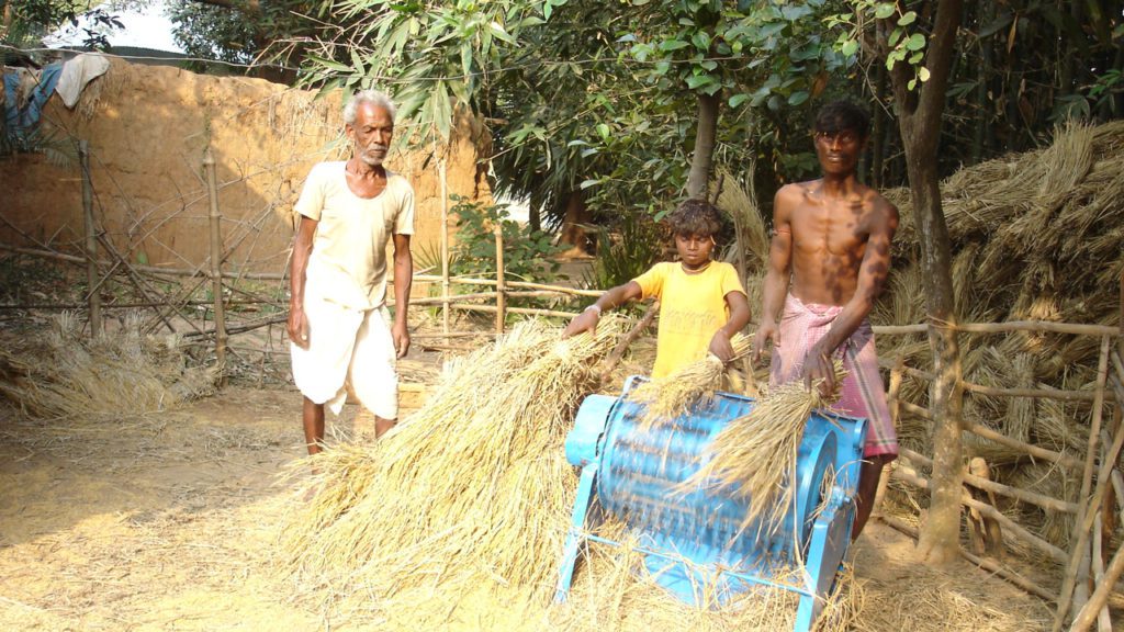 Villagers appearing to gather straw