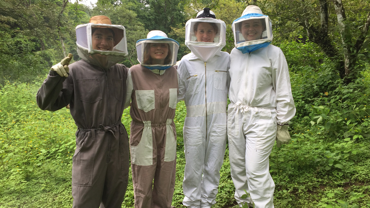 Students wearing bee keeper clothing