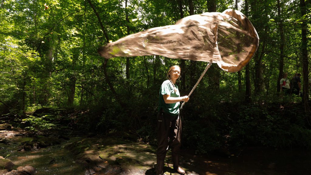 Student waving insect net in the woods