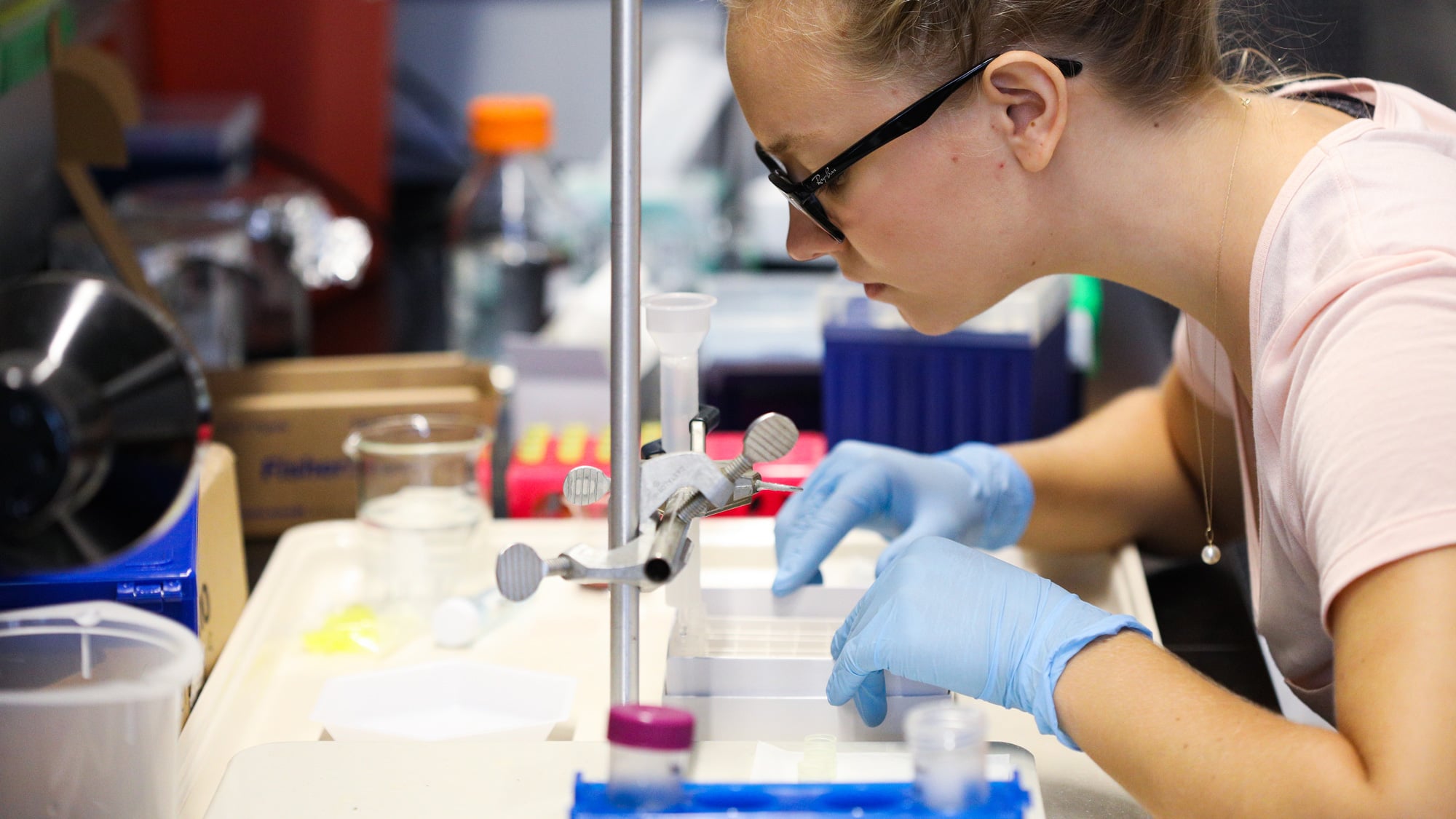 Student completing research in science lab