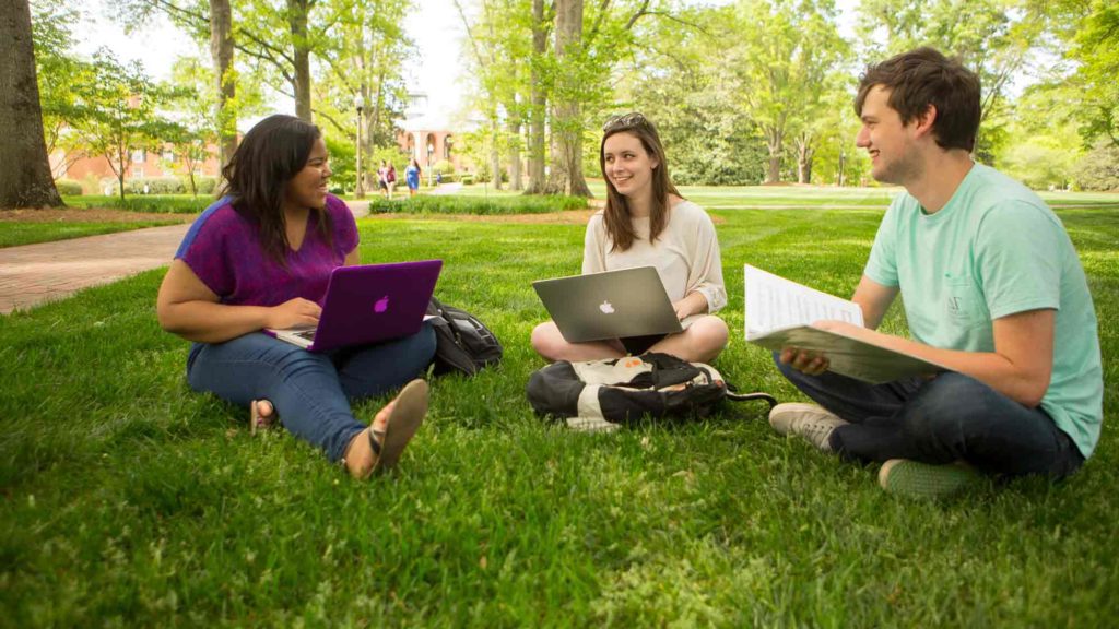 student sitting in the grass with their laptops