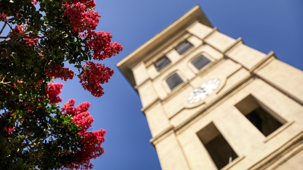 bell tower with pink flowers near foreground of image