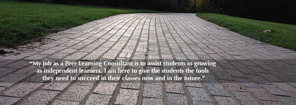 Image of the brick walkway around campus. Quote overlaid on top: “My job as a Peer Learning Consultant is to assist students in growing as independent learners. I am here to give the students the tools they need to succeed in their classes now and in the future.”