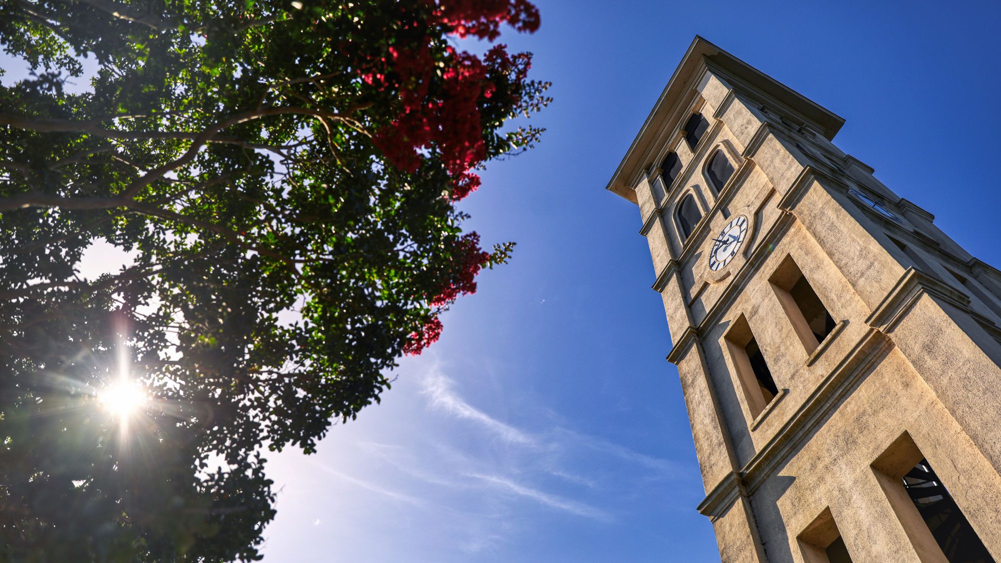 Bell tower in the summer from below