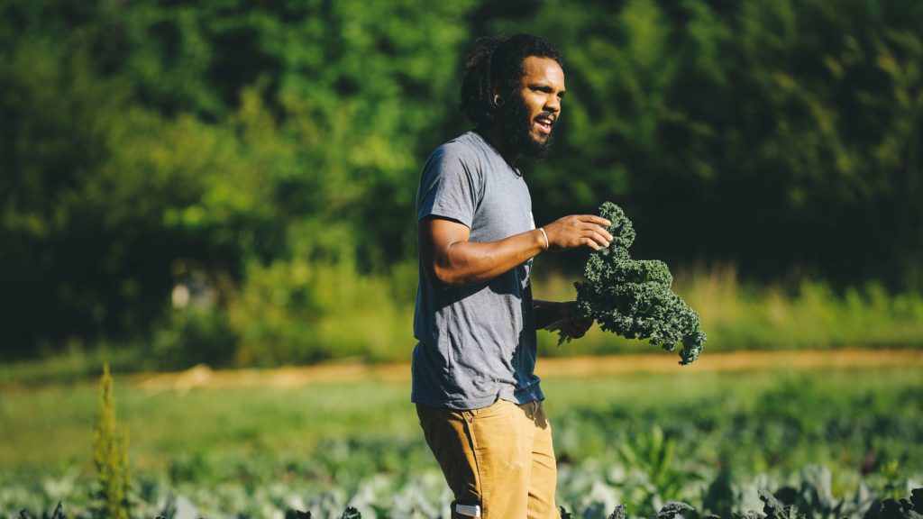 Educator holding kale in a field