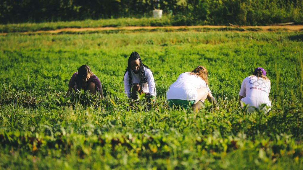 Students farming in a field