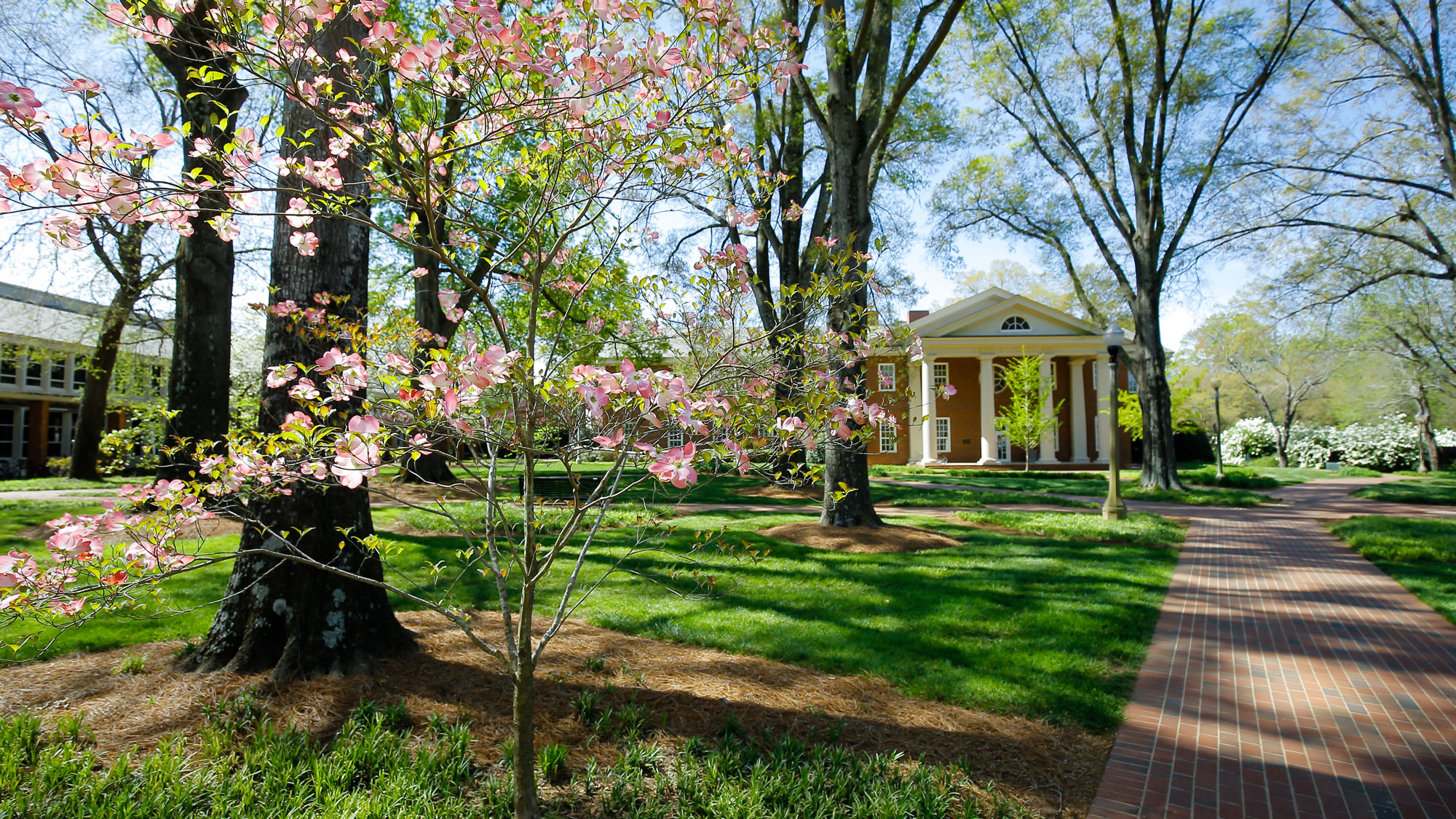 Johns Hall in spring