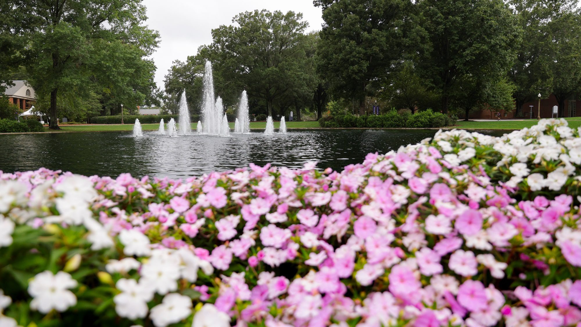flowers with fountain in background