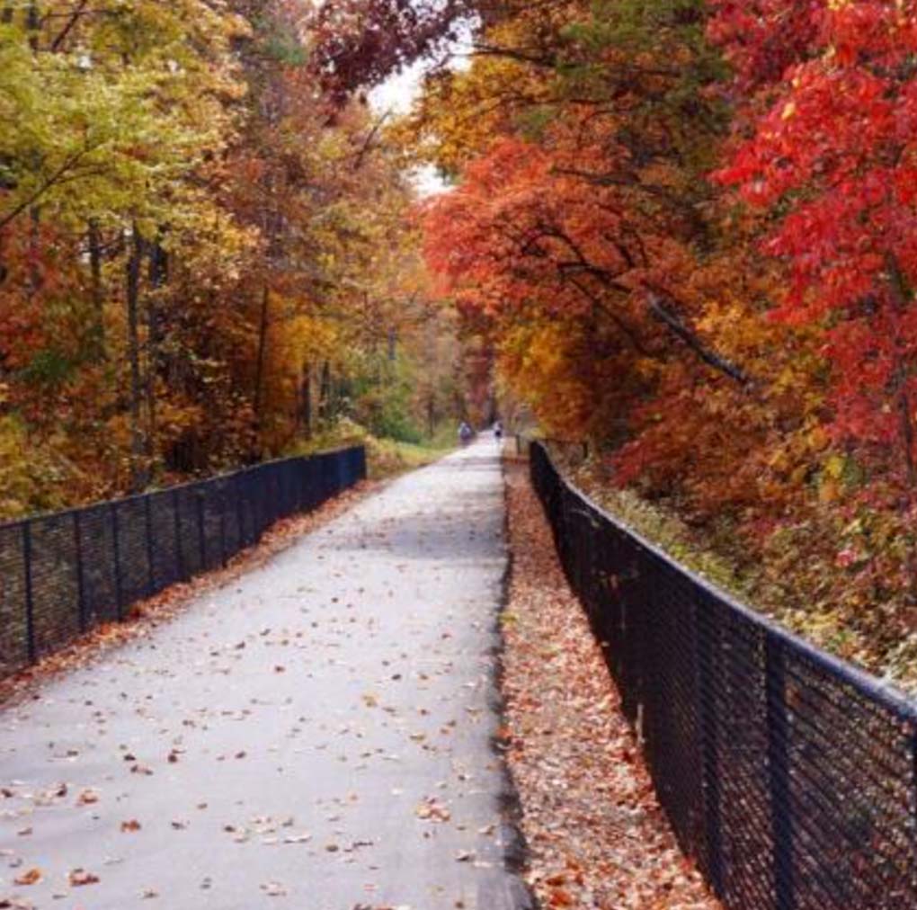 a paved walkway surrounded by colorful fall trees