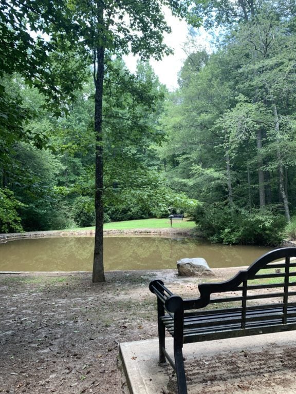 Pond on Furman's campus