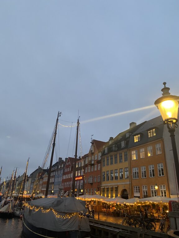 Docks of Copenhagen lit by streetlights. Overcast evening with lights on in the neighboring houses.