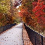 Trail near Furman University in the Fall