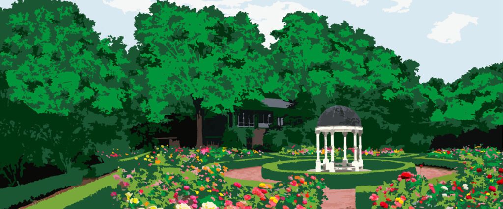 Homecoming graphic, rose garden