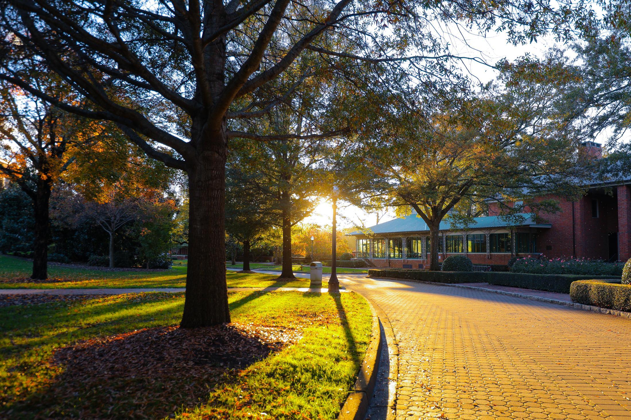 view of path behind dining hall during sunset