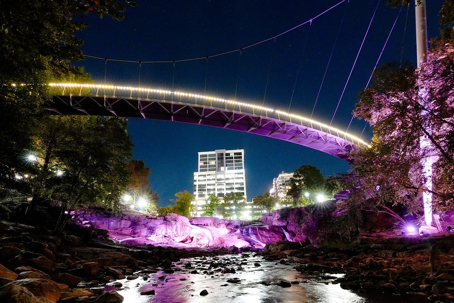 Greenville Glows Purple for Furman’s Bicentennial