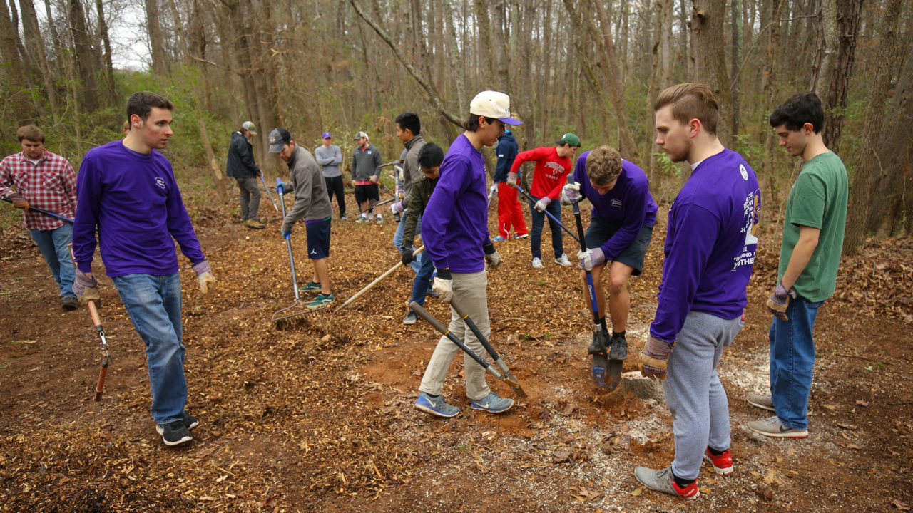 Students digging wholes in the woods