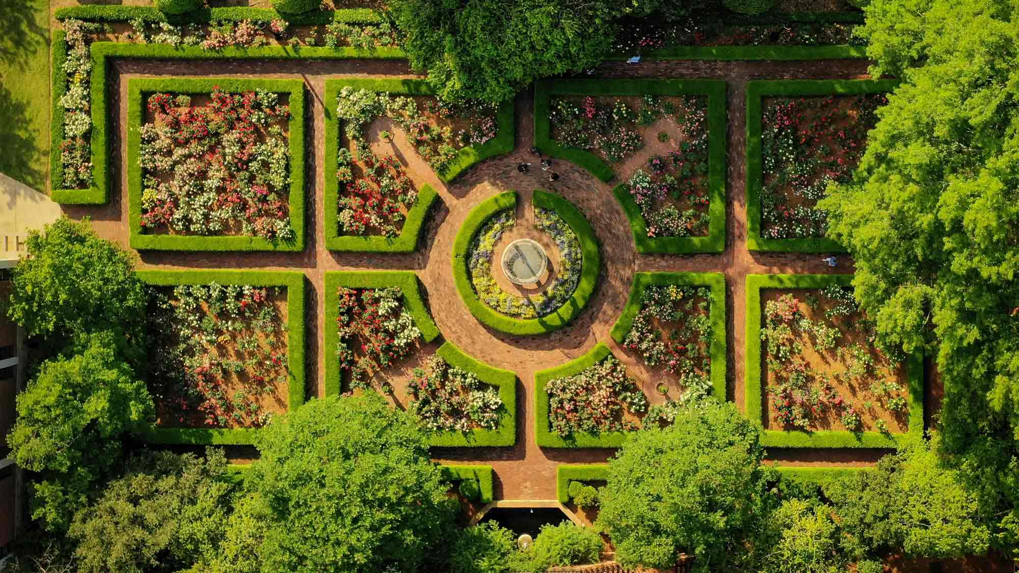 Aerial view of the rose garden