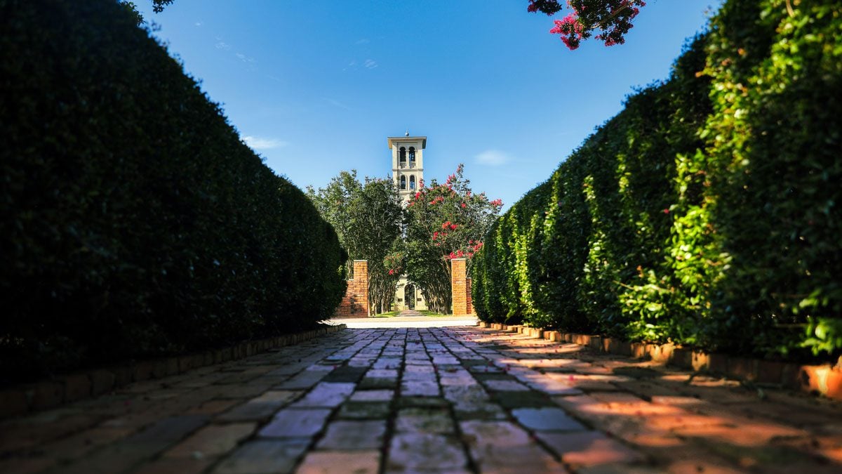 Furman Belltower Summer
