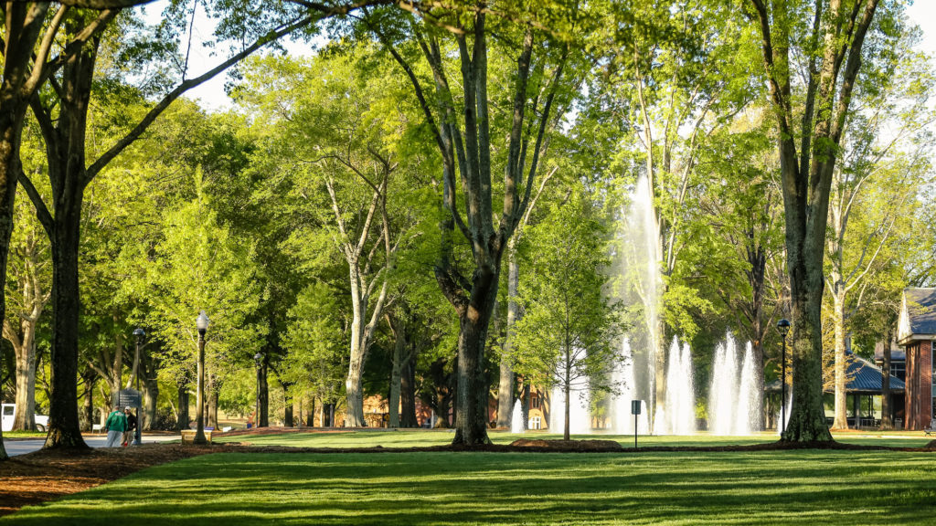 Furman fountains during spring, pictured though the foliage