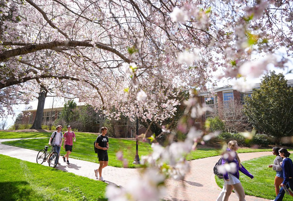 Campus Quad