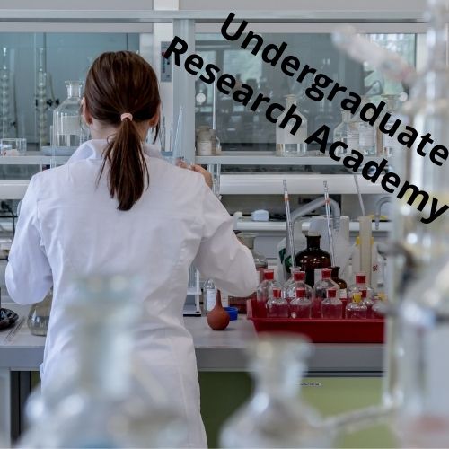 Undergraduate Research Academy
