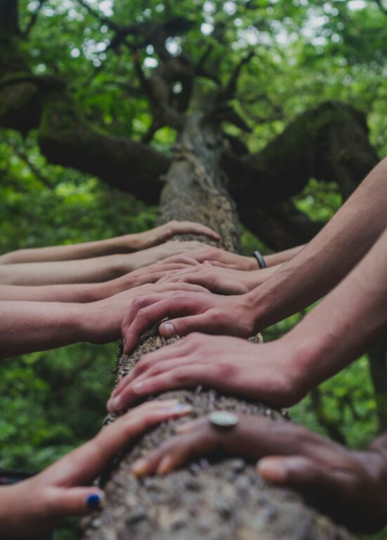 Several hands placed on the trunk of a downed tree.