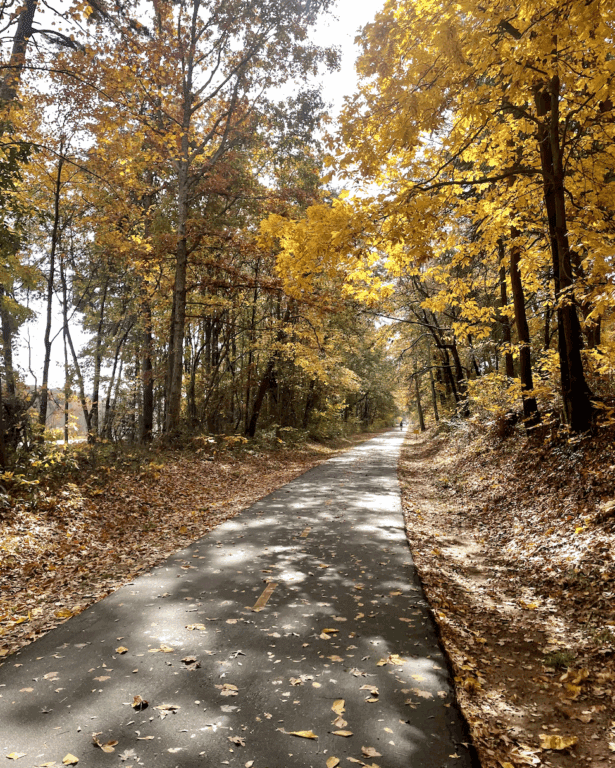 An image of a paved trail winding into the horizon.