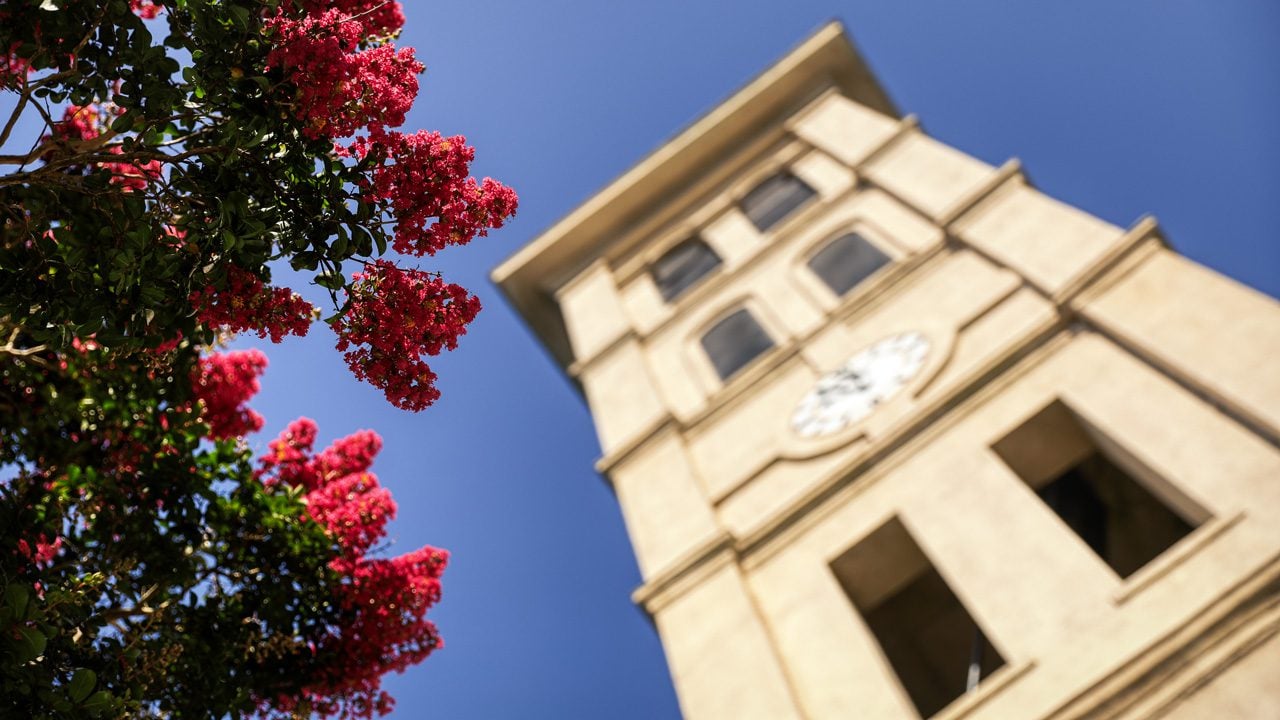 Bell tower in the summer, flowers blooming pink