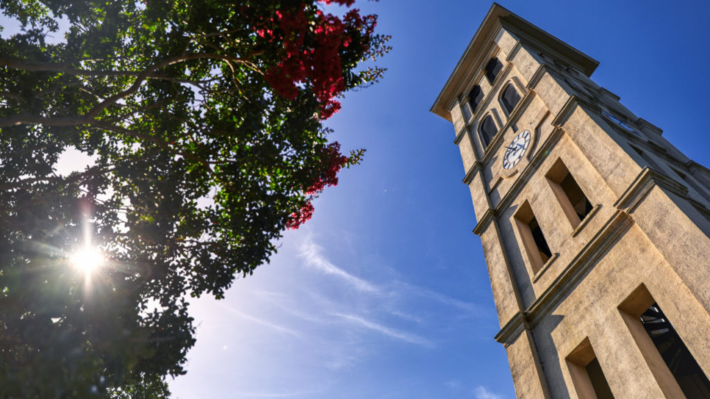 Bell tower in the summer, view from below