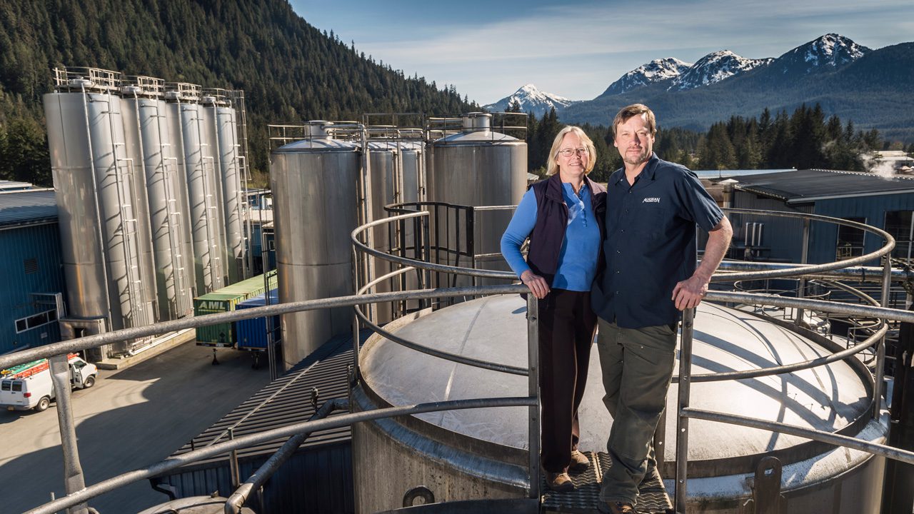 Brewery founders on top of brewing plant