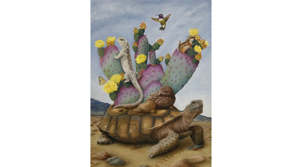“Mojave Desert Tortoise” by Kaitlin Noble