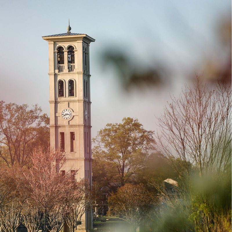 Belltower in early spring