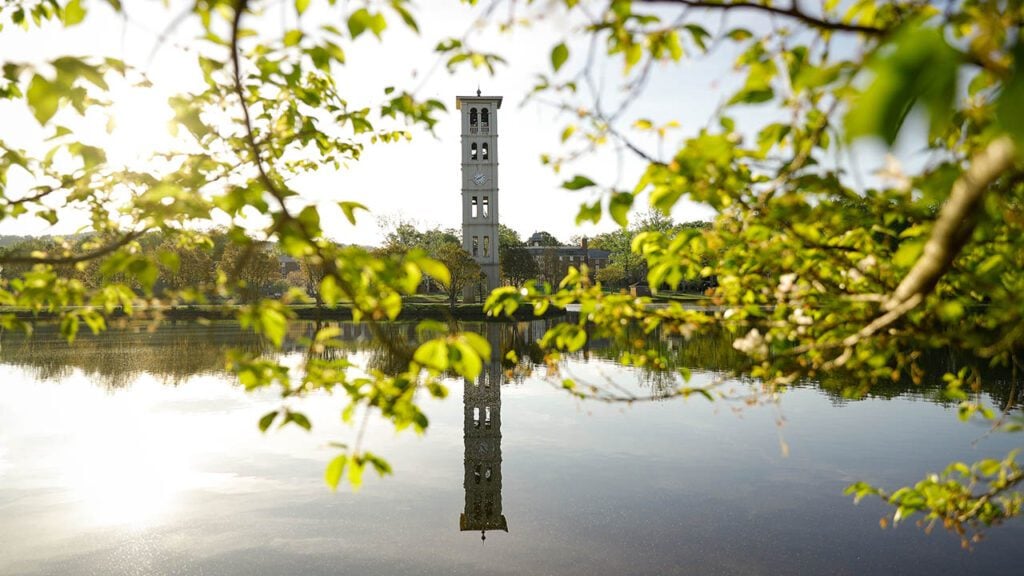 Looking at the Furman University Bell Tower through tree branches.