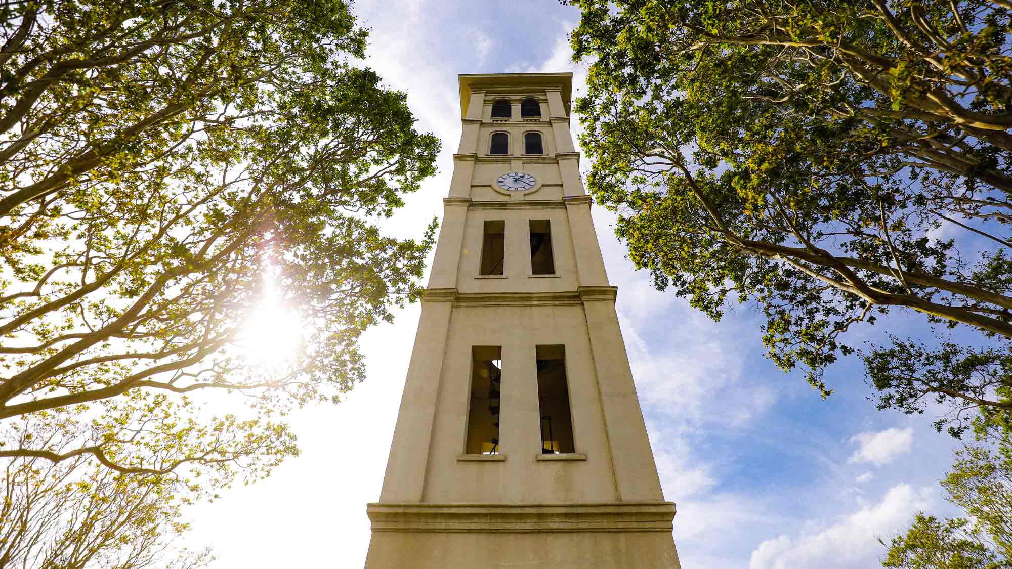 bell tower in spring