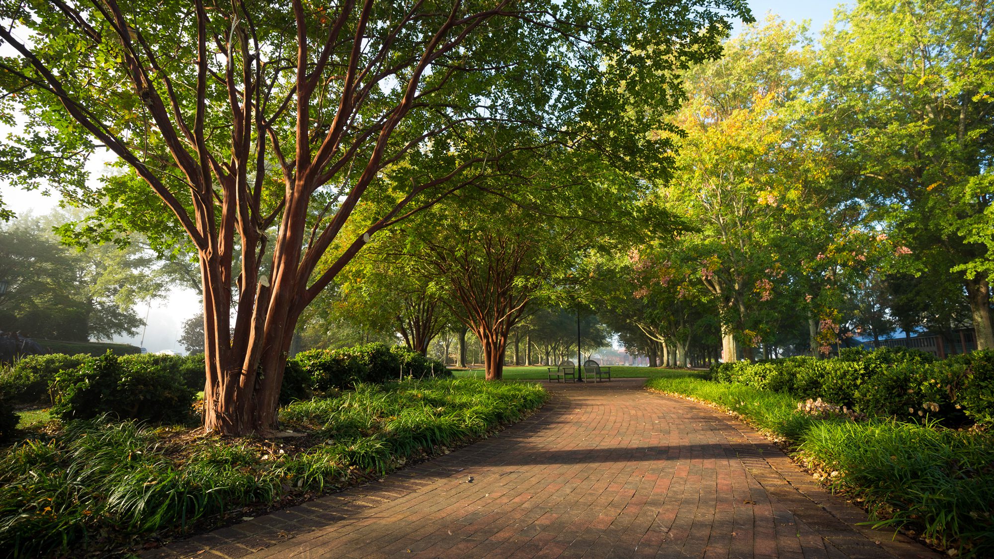 Brick paved walkway during late spring