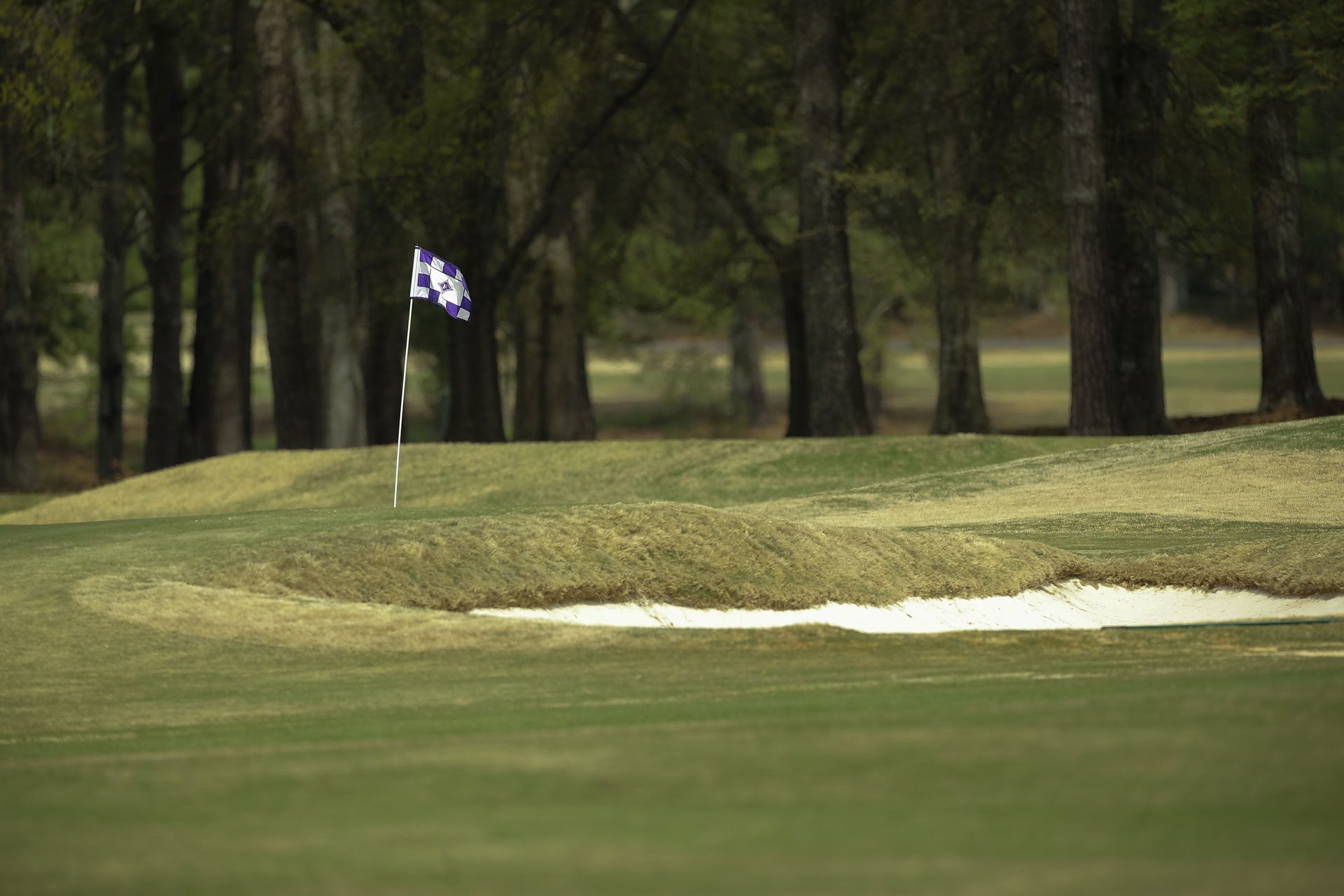 Furman Golf Course to Join Rotation for BMW Charity Pro-Am in 2017 image
