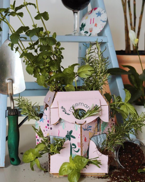 The team's wine box design arranged with plants and a trowel