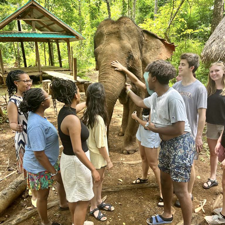 A student pets an elephant surrounded by other students.