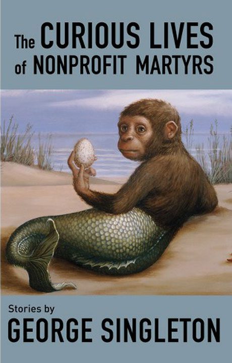 book cover for the curious lives of nonprofit martyrs