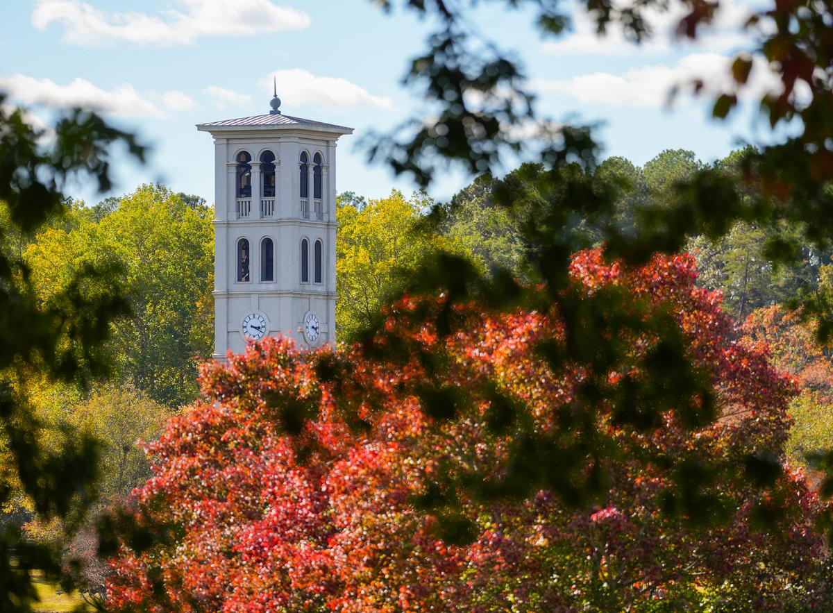 Bell tower in background with fall leaves in foreground