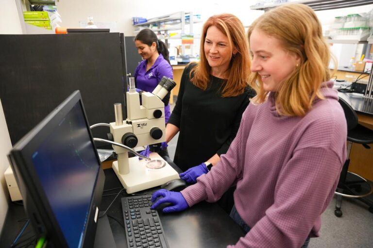 In a lab, one woman works in the background while two look at a computer monitor connected to a microscope.