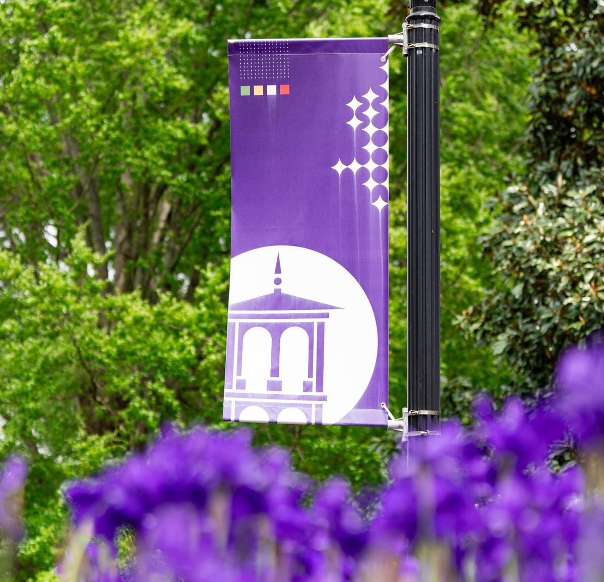 banner with purple flowers in foreground