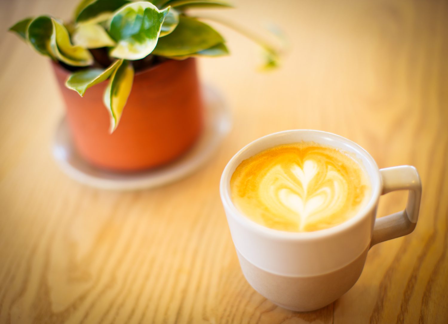 A latte from Other Lands in Greenville, which is owned and operated by Mel Wilcox ’15. Photo by Nathan Gray, Furman University.