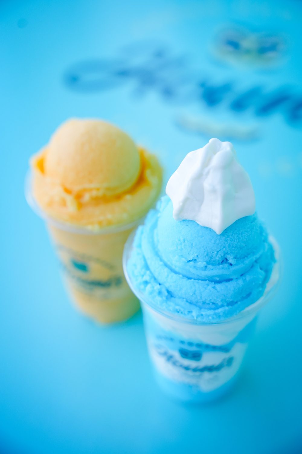 Italian ice and gelato from Houni’s Italian Ice in Greenville on Woodruff Road. Photo by Nathan Gray, Furman University.
