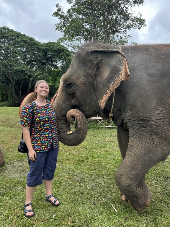 A young blonde woman stands next to an elephant.