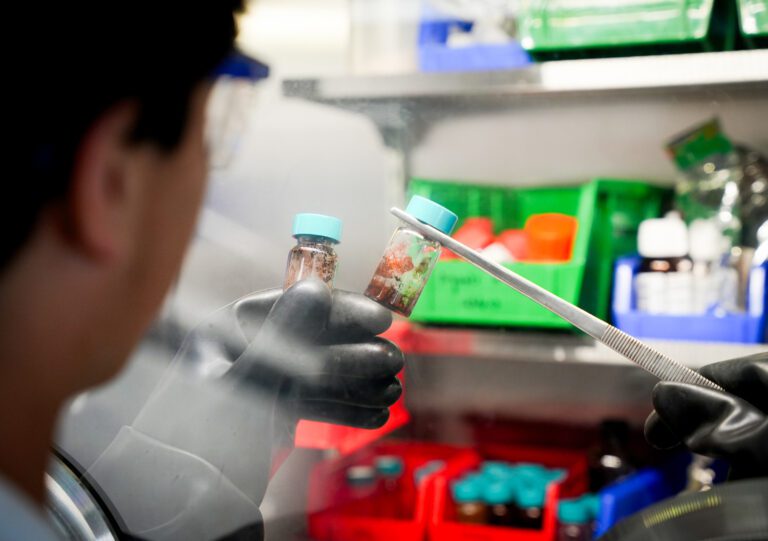 The view of the back of a young man's head, over his shoulder as he uses forceps to hold a vial of a chemical up while performing a chemical reaction
