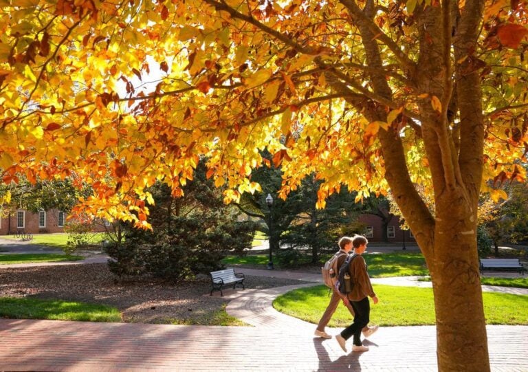 Two students walk across a brick path on campus framed by a tree with orange leaves.