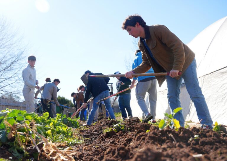 A group of young men till dirt on a small farm with crops poking up from the soil.