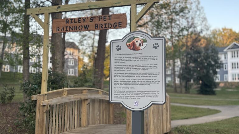 An image of a placard commemorating a dog in front of a wooden bridge with an engraved plank reading "Riley's Pet Rainbow Bridge."